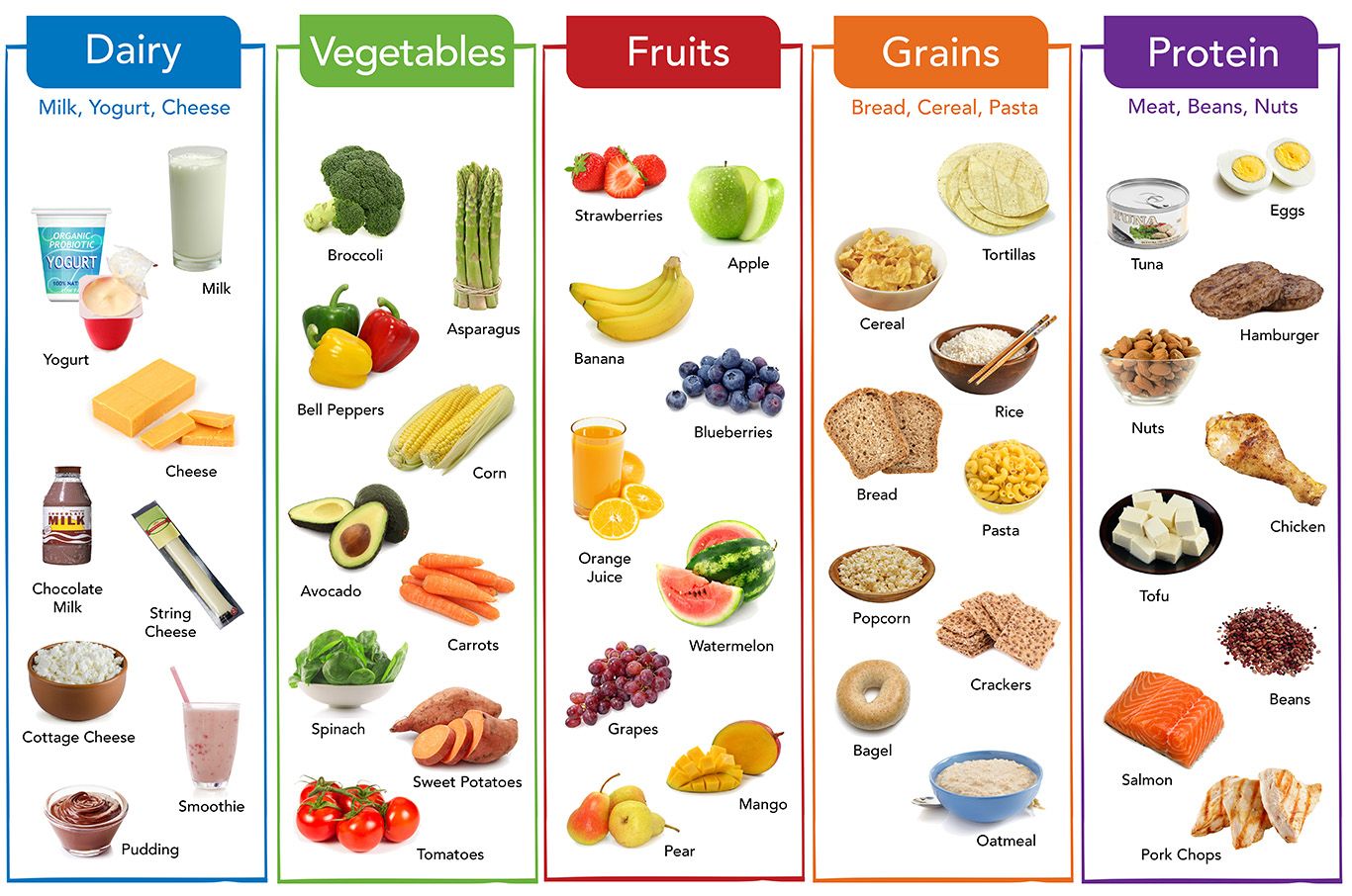 Common Food Categories